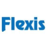 flexis it logo image