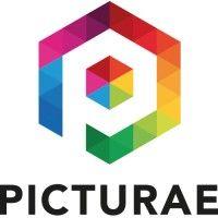 picturae logo image