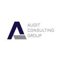 audit consulting group srl logo image