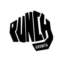 punch growth logo image