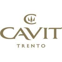 cavit group logo image