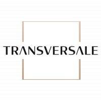 transversale conseil logo image