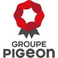 groupe pigeon logo image