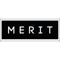 merit data & technology logo image