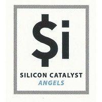 silicon catalyst angels