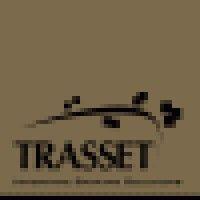 trasset international s.p.a logo image