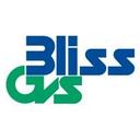 logo of Bliss Gvs Pharma Ltd