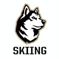 northeastern university alpine ski team logo image