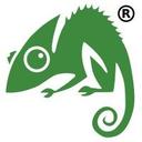 logo of Chameleon Web Services