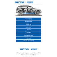 ricor group