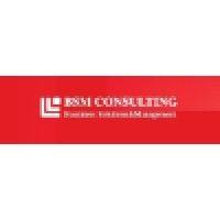 bsm consulting logo image