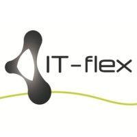 it-flex nv logo image