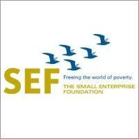 small enterprise foundation logo image