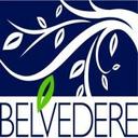 logo of New Belvedere Inc