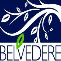 new belvedere, inc.