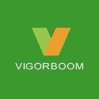 vigorboom sanitaryware logo image