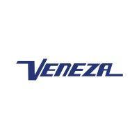 veneza logo image