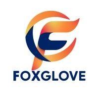 foxglove connect pvt. ltd. logo image