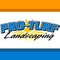 pro-turf landscaping logo image