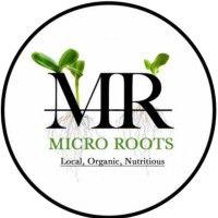 micro roots limited logo image