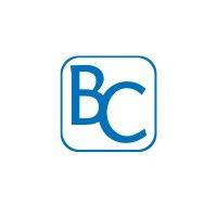 bconnected, llc logo image