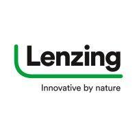 lenzing group logo image