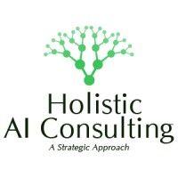 holistic ai consulting logo image