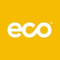 eco sustainable solutions ltd logo image