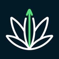 rank really high dispensary marketing logo image