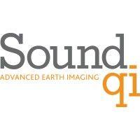 sound qi solutions ltd. logo image