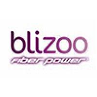 blizoo macedonia (member of telekom austria group) logo image