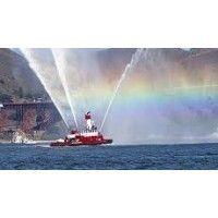 guardian fireboat sf logo image