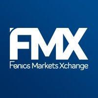 fmx logo image