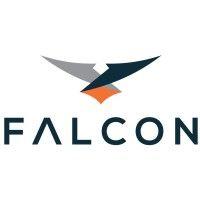 falcon logo image