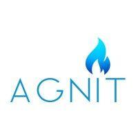 agnit semiconductors pvt ltd logo image