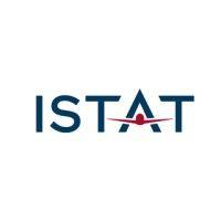 istat logo image