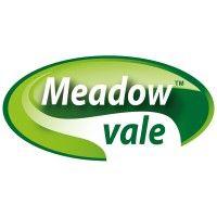 meadow vale foods ltd. logo image