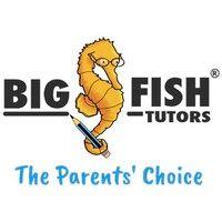 big fish tutors: english, maths & science logo image