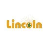 lincoln energy solutions logo image