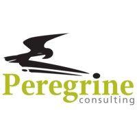 peregrine consulting cyprus ltd logo image