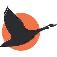 goose capital logo image