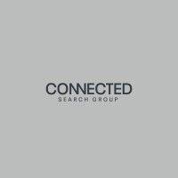 connected search group ltd logo image