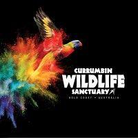 currumbin wildlife sanctuary logo image