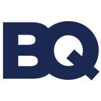 brightquery logo image