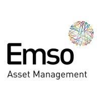 emso limited logo image