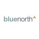 logo of Blue North Strategies