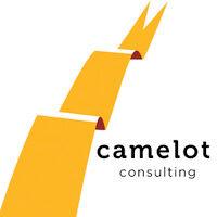 camelot consulting group logo image