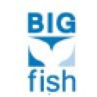 big fish ventures logo image