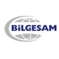 bilgesam logo image