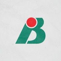 benassi são paulo logo image